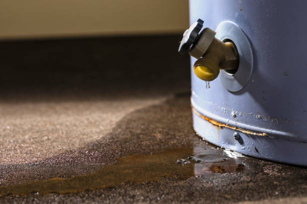 Best Water damage contractors near me  in Summerville, SC