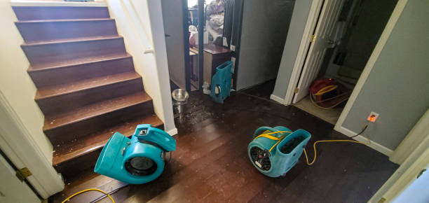 Best Ceiling water damage repair  in Summerville, SC
