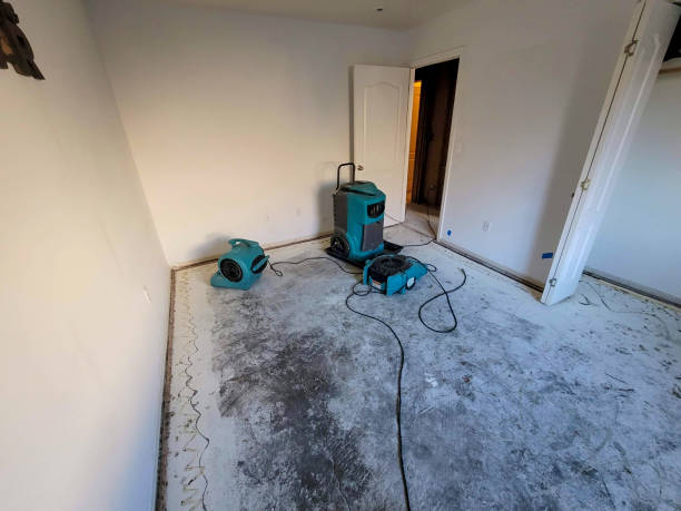 Best Commercial water damage restoration  in Summerville, SC