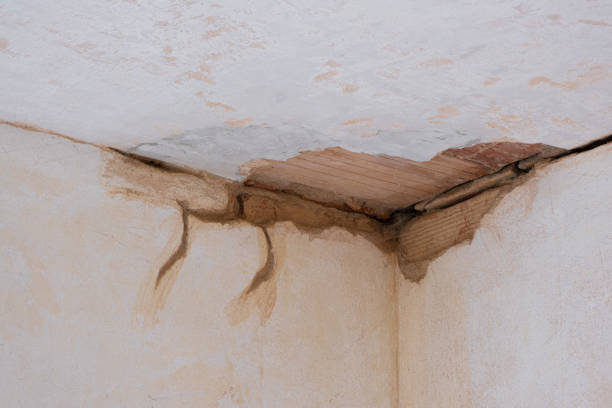 Best Flood damage cleanup  in Summerville, SC
