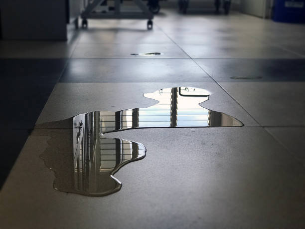 Best Professional water damage repair  in Summerville, SC