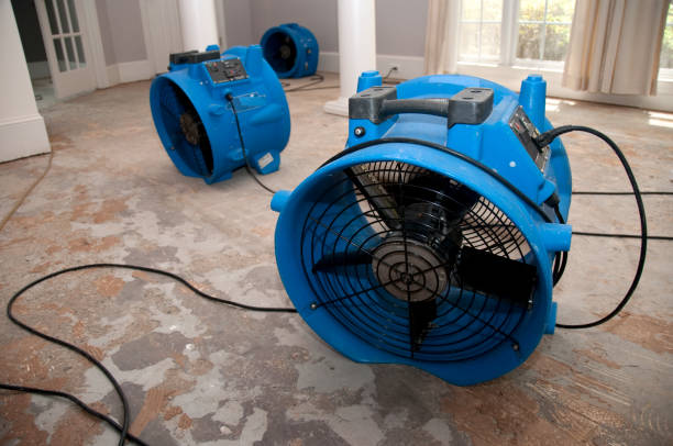 Best Residential water damage restoration  in Summerville, SC